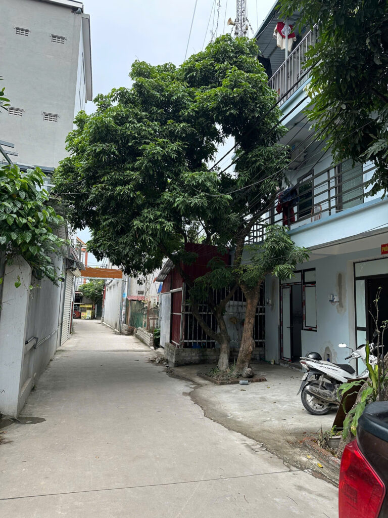 nha-tro-noi-hoang